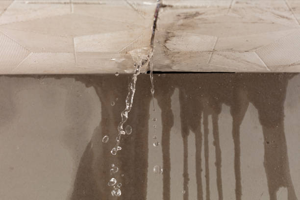 Professional Water Damage Inspection technician working in Bradford, RI